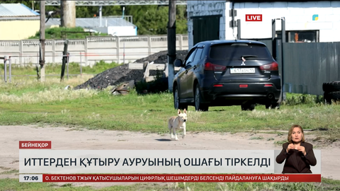 СҚО-да құтырған ит анықталған