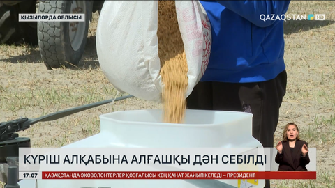 Қызылорда облысында күріш егу басталды