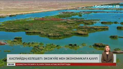 Каспийдің келешегі: Экожүйе мен экономикаға қауіп