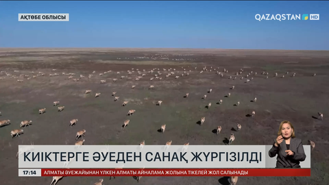 Ақтөбе облысында киіктерді санап шықты