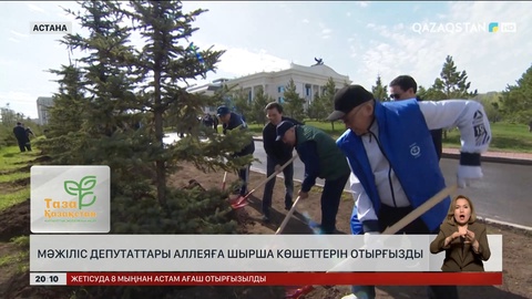 Мәжіліс депутаттары аллеяға шырша көшеттерін отырғызды