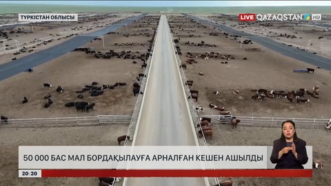 50 000 бас мал бордақылауға арналған кешен ашылды
