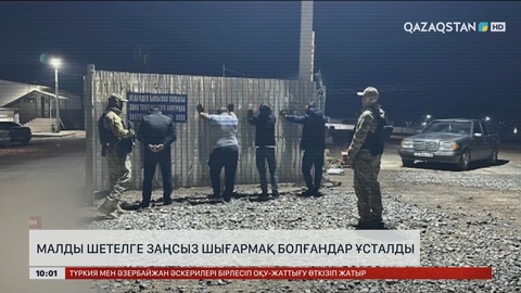 Малды шетелге заңсыз шығармақ болғандар ұсталды