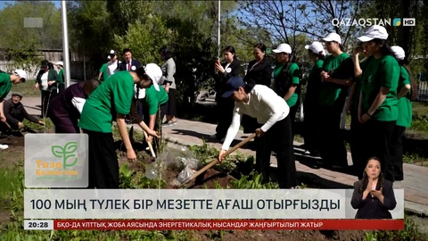 100 мың түлек бір мезетте ағаш отырғызды