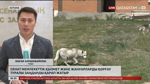 Сенат мемлекеттік қызмет және жануарларды қорғау туралы заңдарды қарап жатыр