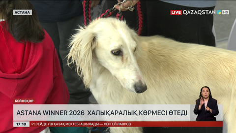 Елордада «Astana Winner» халықаралық көрмесі өтеді