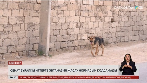 Сенат бұралқы иттерге қатысты заң жобасын Мәжіліске қайтарды