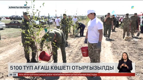 5100 түп ағаш көшеті отырғызылды