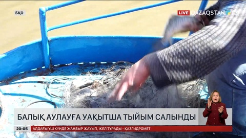 Балық аулауға уақытша тыйым салынды