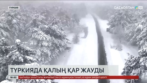 Түркияда қалың қар жауды