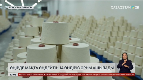 Түркістан облысында мақта өңдейтін 14 өндіріс ашылады