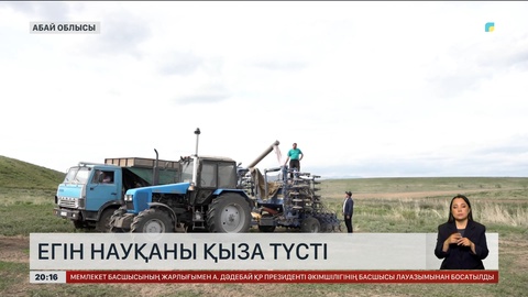 Егін науқаны қыза түсті