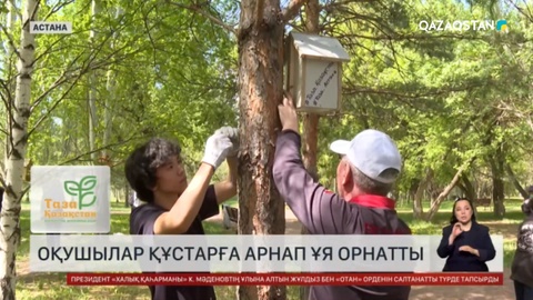 Елордалық оқушылар құстарға ұя жасады