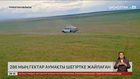  Түркістанда 286 мың гектар аумақты шегіртке жайлаған