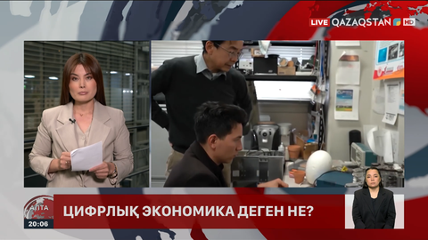 Шығын бар, кіріс қандай? Цифрлық саланың экономикаға пайдасы