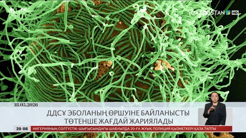  ДДСҰ эболаның өршуіне байланысты төтенше жағдай жариялады