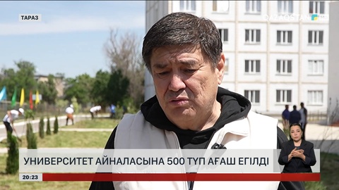 Университет айналасына 500 түп ағаш егілді