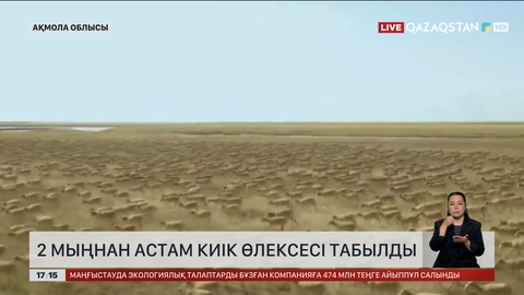Ақмола облысында 2 мыңнан астам киік өлексесі табылды