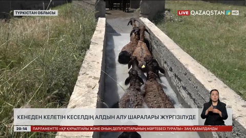  Кенеден келетін кеселдің алдын алу шаралары жүргізілуде