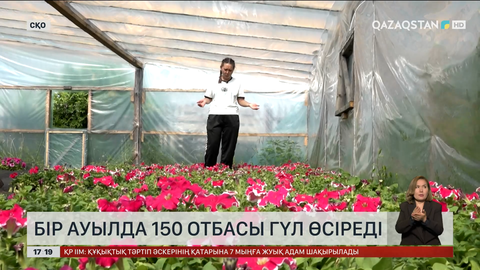 СҚО-да бір ауылда 150 отбасы гүл өсіреді