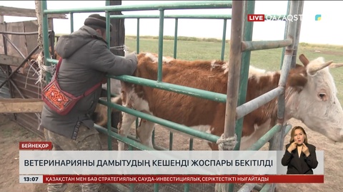 Үкімет елімізде ветеринарияны дамытудың жоспарын бекітті