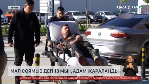 Мал соямыз деп 13 мың адам жараланды