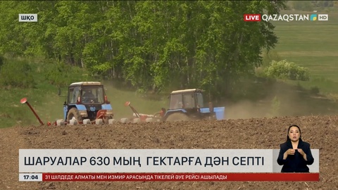 ШҚО-да 630 мың гектар жерге дән септі