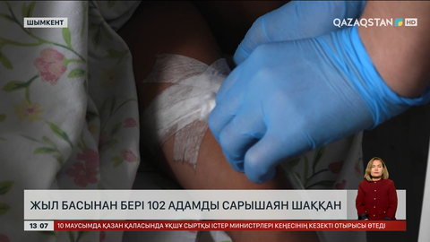 102 адамды сарышаян шаққан