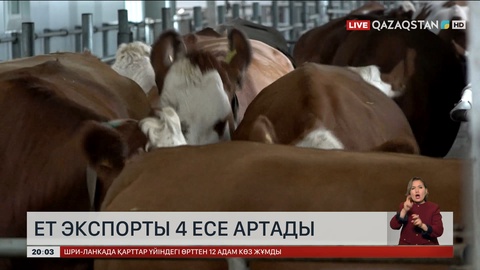 Ет экспорты 4 есе артады