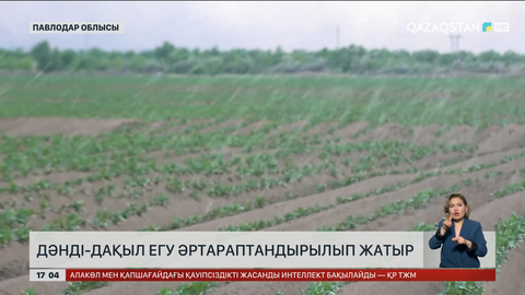 Павлодар облысында егін саласын әртараптандыра бастаған