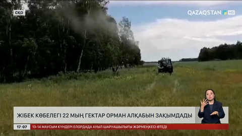 СҚО-да қаптап кеткен жібекқұрт орманды жұтатып жіберді