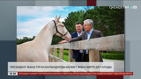 Президент жаңа туған құлындарды Ақниет және Бөрте деп атады 