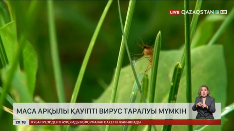 Маса арқылы қауіпті вирус таралуы мүмкін