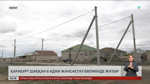 Қарақұрт шаққан 6 адам жансақтау бөлімінде жатыр