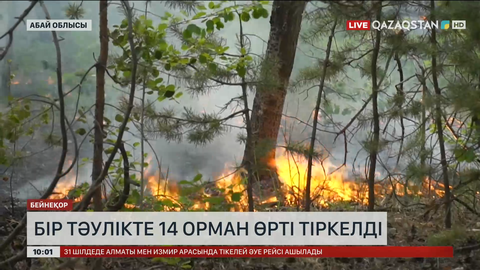 Абай облысында бір тәулікте 14 орман өрті тіркелді