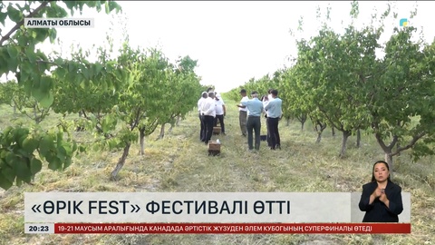 Алматы облысында «Өрік FEST» фестивалі өтті
