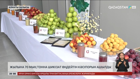 Жылына 70 мың тонна шикізат өңдейтін кәсіпорын ашылды