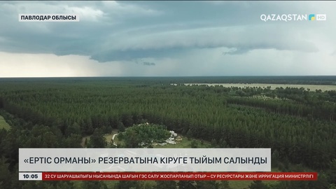 Павлодар облысында «Ертіс орманы» резерватына кіруге тыйым салынды