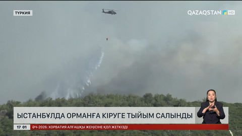 Ыстанбұлда орманға баруға тыйым салды
