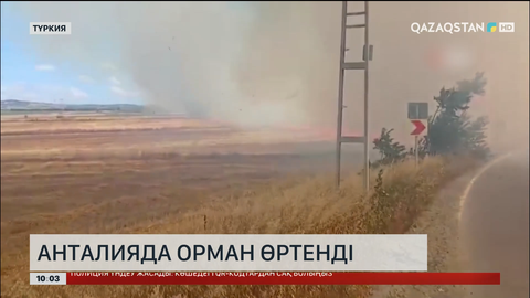 Анталияда орман өртенді