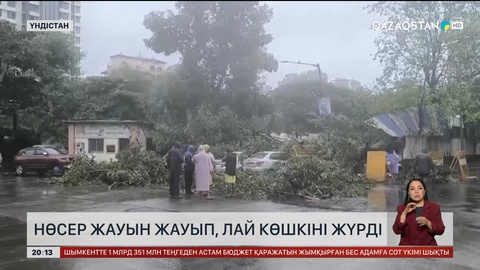 Үндістанда нөсер жауын жауып, лай көшкіні жүрді