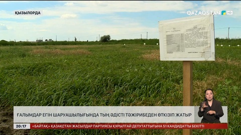 Ғалымдар егін шаруашылығында тың әдісті  тәжірибеден өткізіп жатыр