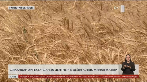 Түркістан облысында астық орағы қыза түсті