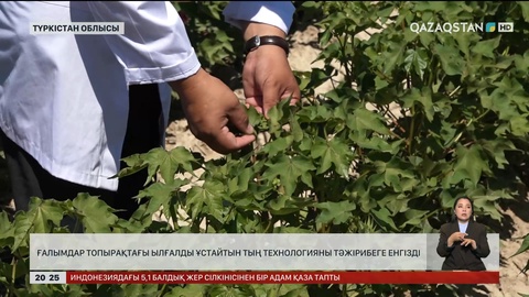 Ғалымдар топырақтағы ылғалды ұстайтын тың технологияны тәжірибеге енгізді 