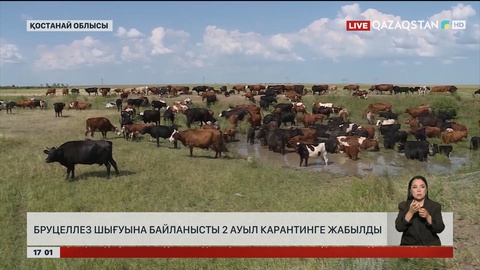 Қостанай облысындағы екі ауыл карантинге жабылды