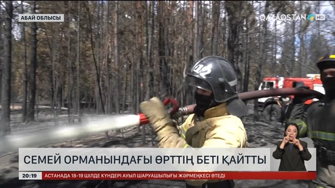 Семей орманындағы өрттің беті қайтты