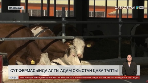 Павлодар облысында сүт фермасында 6 адам оқыстан қаза тапты