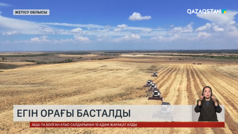 Жетісу облысында егін орағы басталды