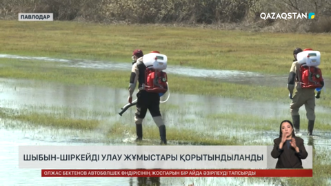 Павлодарда шыбын-шіркейді улау жұмыстары қорытындыланды