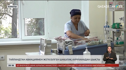 Тайландтан авиациямен жеткізілген шақалақ ауруханадан шықты